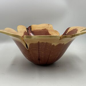 Cedar bowl - profile view