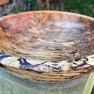 Spalted beech bowl