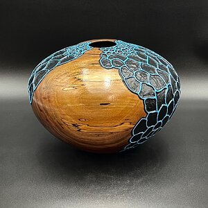 Walnut HF #533