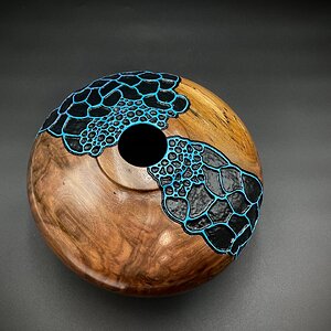 Walnut HF # 533