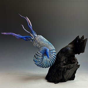 Aether Nautilus