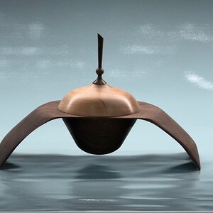 Winged box