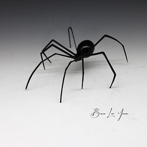 WIDOW