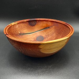 Cedar #544