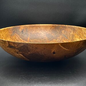 Maple # 535
