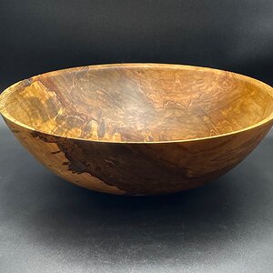 Maple #536
