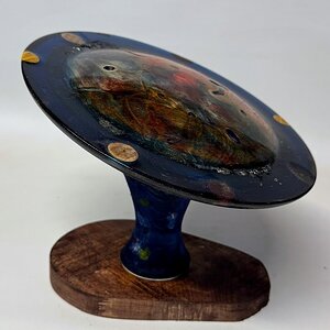 cosmos side view