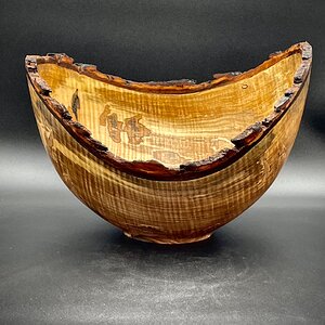 Natural Edge Maple #546