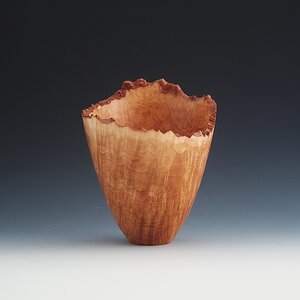 Madrone Burl Live Edge Vase