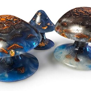 Magic mushrooms