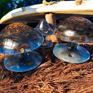 Magic mushrooms
