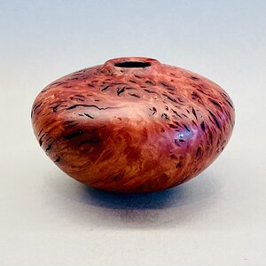 Jarrah burl