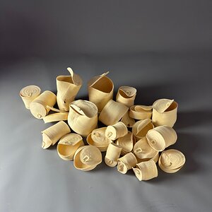 Family of fig tree cans