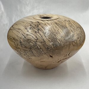 Bug Eaten, Spalted Maple