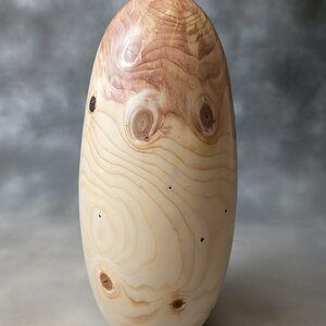 Spruce Hollow Form