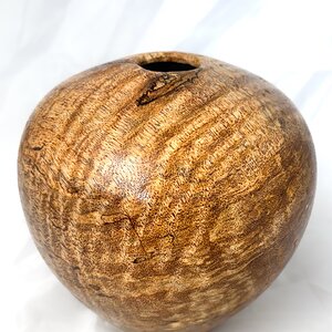 Curly Spalted Mango