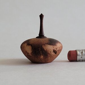 Avocado Pit Hollow Form 2