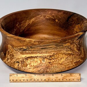 Deep dish Beech
