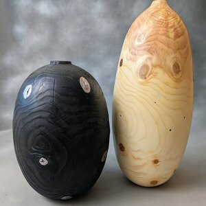 Spruce pair