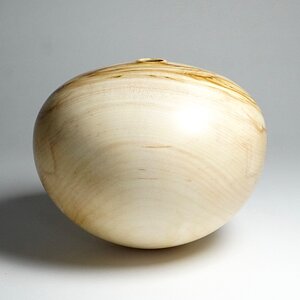 Bleached silver maple hollow form