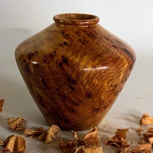 Alligator Juniper hollow form
