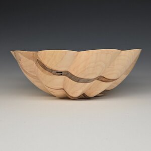 Scalloped ambrosia maple