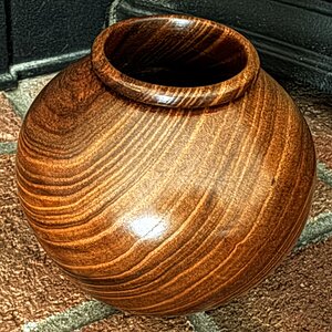 Siberian elm