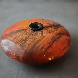Tuliptree Hollow Form