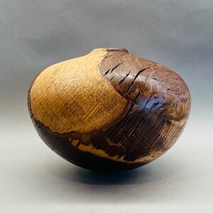 Some sort of oak