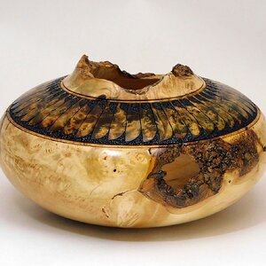 Box Elder burl