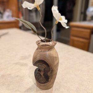 Sassafras Twig Vase