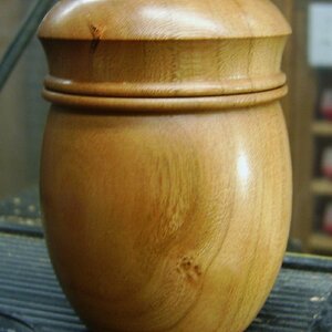 African Mahogany Lidded box