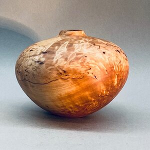 Masur birch