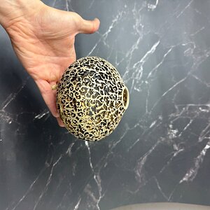 Intricate 1