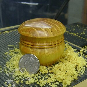 Tiny Osage Orange Keepsake lidded box