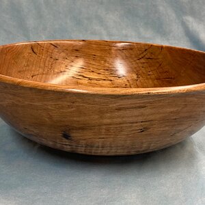 Ambrosia Maple