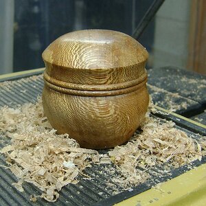 Sycamore Lidded Box