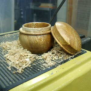 Sycamore Lidded box