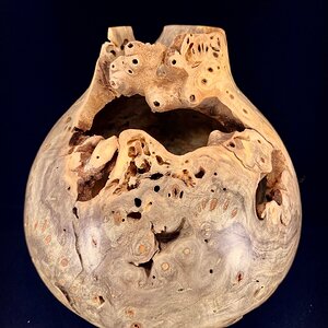 Hollow-ween Form