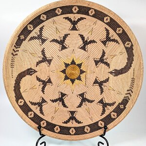 Mission Basket Illusion