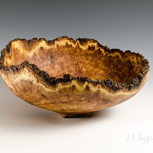 NE Elm Burl Bowl