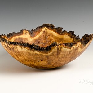 NE Elm Burl II