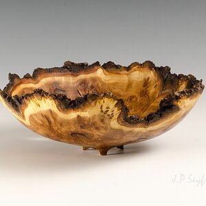 NE Elm Burl