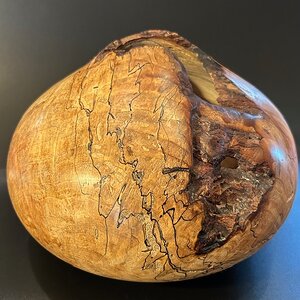 Maple burl hollow form