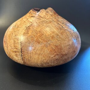 Hard Maple burl hollow form