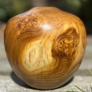 Russian Olive Vessel with Turquoise Inlay (side 1)