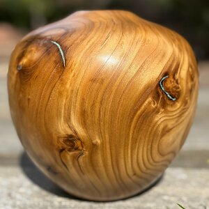 Russian Olive Vessel with Turquoise Inlay (side 2)