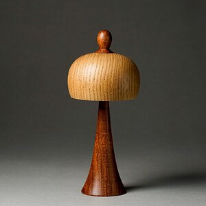 American Chestnut and Mesquite Captured Spin Top