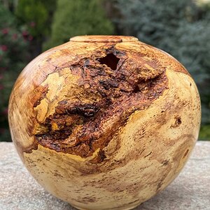 Honey Locust Burl Vessel with Bark Inclusion (front view)