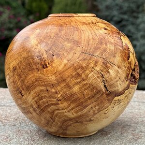 Honey Locust Burl Vessel with Bark Inclusion (back view)